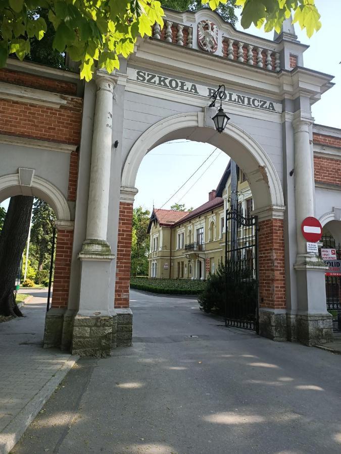 Apartament U Agaty Czernichow Krakow Zator Экстерьер фото
