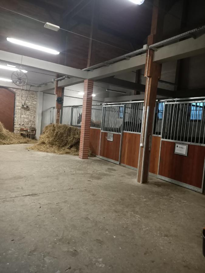 Apartament U Agaty Czernichow Krakow Zator Экстерьер фото